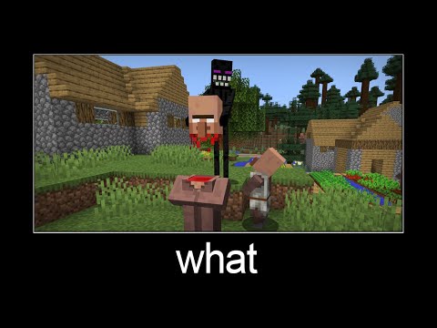 Minecraft wait what meme part 186 (scary Enderman)