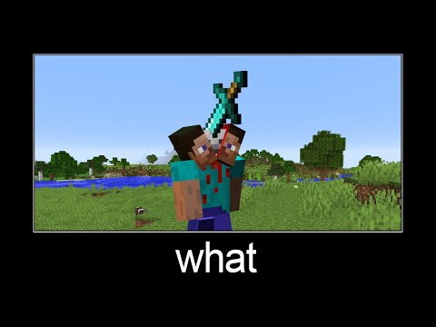 Minecraft wait what meme part 187 (scary Steve)