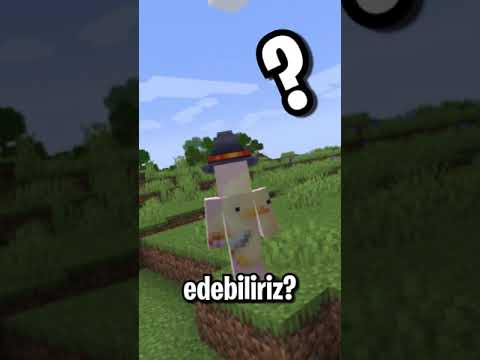 Minecraft'ta Bulunması En Zor Blok Hangisidir?