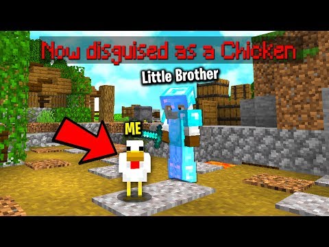 Trolling my brother in minecraft with a disguise plugin