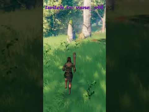 VALHEIM | 🤡 Cuando sabes que tu compañero te terminará matando 🤡 #valheim #shorts #VaneVBL