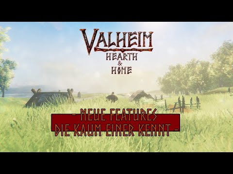 WAS UNS IN VALHEIM BISHER VERSCHWIEGEN WURDE!!!