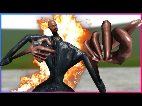 What HAPPENED To THESE NPCs?! (Wacky NPC Pack) | Garry's Mod