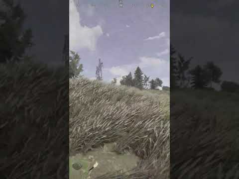 What is this game?? Best Rust #shorts