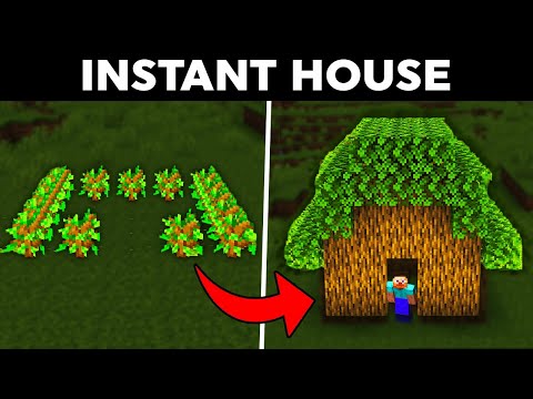 Cheap Minecraft Hacks!
