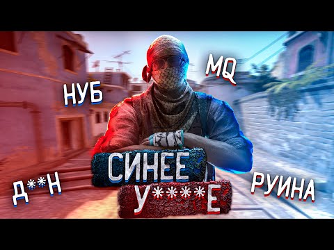 Мой друг синее животное?/Угарные моменты (Counter-Strike: Global Offensive)