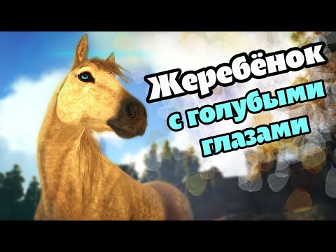 РОЖДЕНИЕ ГОЛУБОГЛАЗОГО ЖЕРЕБЁНКА и НОВЫЙ ДОМ – ARK: Survival Evolved – 4 серия