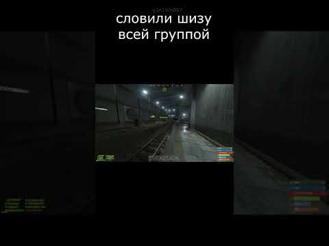 Словили шизу всей группой | RUST