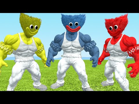 قاريز مود | هاقي واقي المعضل 🔥😲 | Garry's Mod
