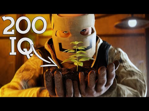 I BUILD a SOLO HEMP FARM and its LITERALLY 200IQ – Rust