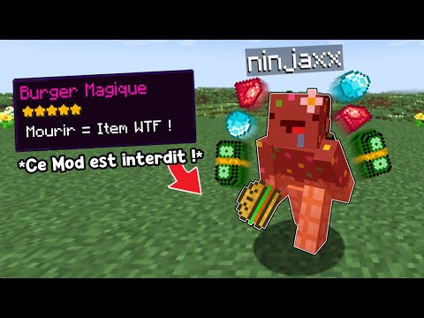 J'ai utilisé un Mod Illégal pour finir Minecraft.. (wtf)