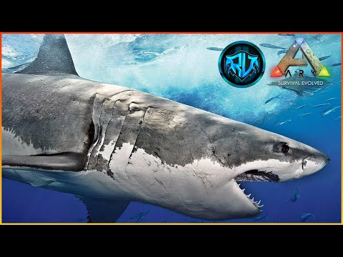Megalodon Evcilleştirme | Ark: Survival Evolved | S5 Bölüm #8 [MODSUZ]