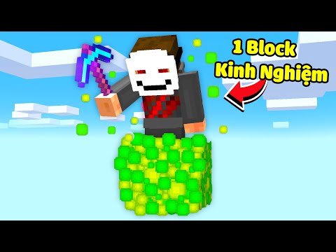 Minecraft nhưng Sinh Tồn trên 1 Block Kinh Nghiệm