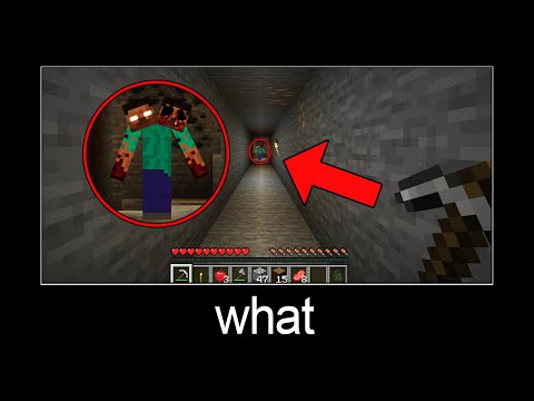 Minecraft wait what meme part 210 (Scary two-headed Herobrine)