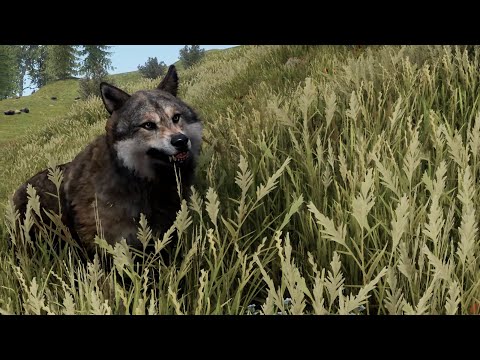 Rust 6/3/2021 Update Summary