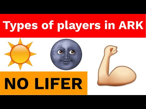 The No Lifer | Types of players