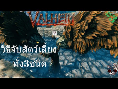 Valheim วิธีจับสัตว์มาเลี้ยงทั้ง3ชนิด
