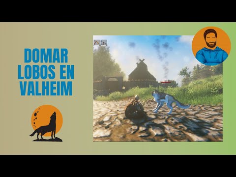 Domar y transportar lobos en Valheim