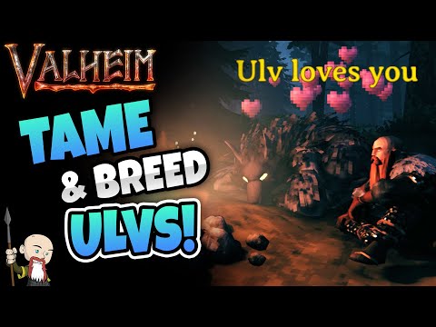 How to Tame & Breed Ulvs – Valheim Tips and Tricks