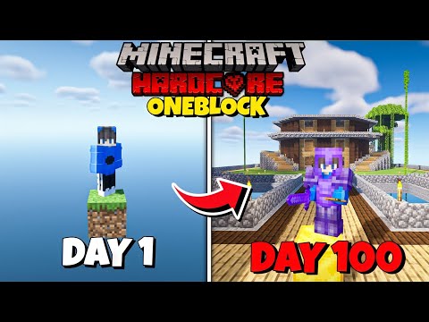 I Survived 100 Days On OneBlock In Minecraft Hardcore Hindi