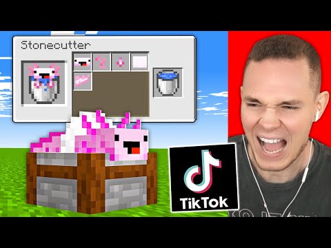 Ich TESTE UNGLAUBLICHE TIK TOKS in Minecraft 😍