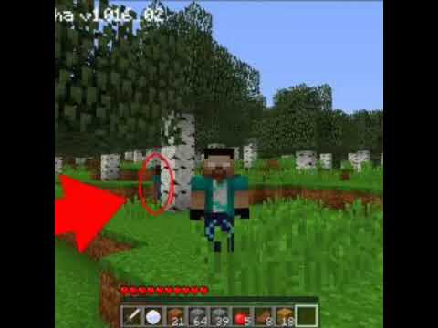 Kemik minecraft oynarken gördüğüm herobrine görüntüleri:)