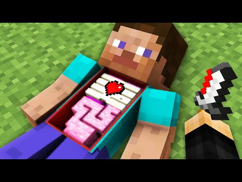 Minecraft, But I Added Surgery…