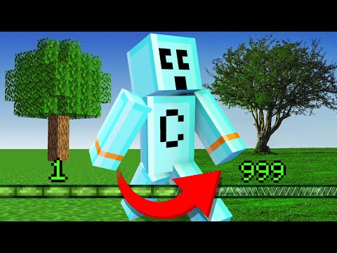 Minecraft But XP = Realism