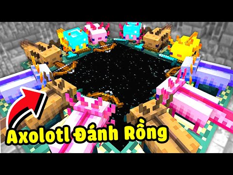 Minecraft nhưng Axolotl đánh Rồng Ender Dragon cho bạn