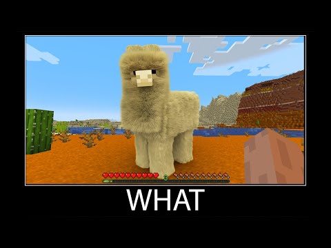 Minecraft wait what meme part 102 realistic minecraft Llama wool