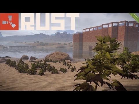 Rust Update: Hemp Farming & Water Purification