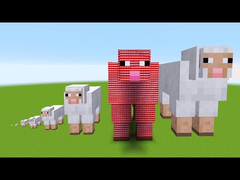 SHEEP Experiment !! #shorts