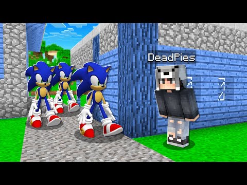 SONİC KÖYÜNE GİTTİM 😱 – Minecraft