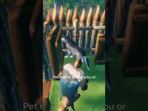 Valheim – Как Приручить волка???
