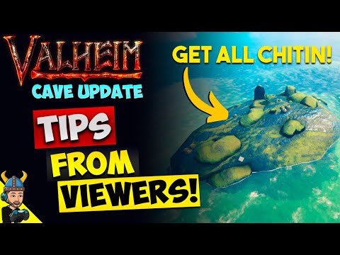 Valheim NEW Tips From Viewers!