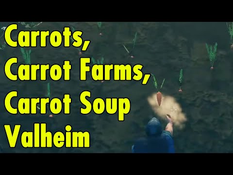 Carrots, Carrot Farms and Carrot Soup in Valheim