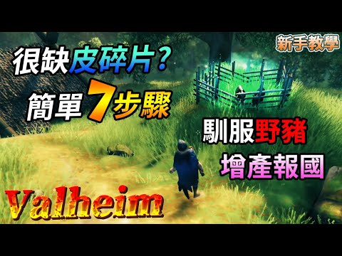 【Valheim】新手攻略教學:簡單7步驟馴養馴服野豬!從此不再缺皮碎片! (瓦爾海姆 | 英靈神殿 | 北歐神話維京)