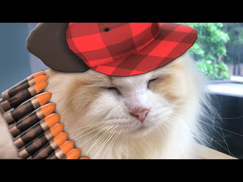 If TF2 turned into a Cat Cafe