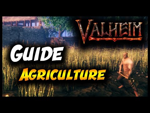 VALHEIM : GUIDE AGRICULTURE !