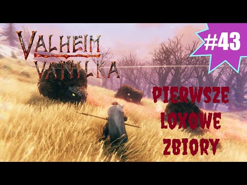 VALHEIM PL #43 / VANILKA / PIERWSZE LOXOWE ZBIORY