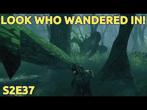 VALHEIM: S2E37: PROVOKING THE WILD LIFE