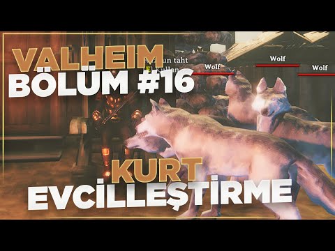 Valheim Türkçe #16 | Kurt Sürünüzü Oluşturun! | Kurt Evcilleştirme Rehberi /w Liqht Edit