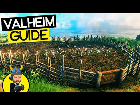 BOAR + CARROT FARMS! The Valheim Guide Ep 7 [Valheim Let's Play]