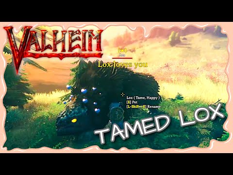 🍑TAMED LOX 💪…WAIT NO! 😱/ Valheim gameplay early access ep.402🍩