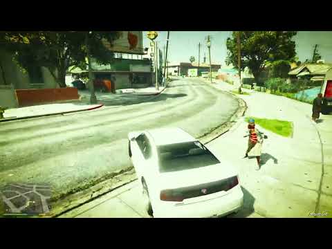 Grand Theft Auto V Franklin and Lamar Glitch Out