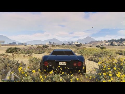 Grand Theft Auto V hit a plane
