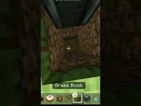 How to Make a Troll Trap In Minecraft #shorts
