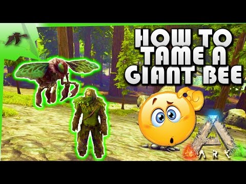 How To Tame A Giant Bee(EASY!)- Ark Survival Evolved Xbox One- Kamz25