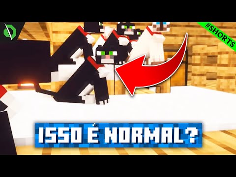 IMPOSSÍVEL! Os GATOS do Minecraft SEMPRE fizeram isso?! #SHORTS
