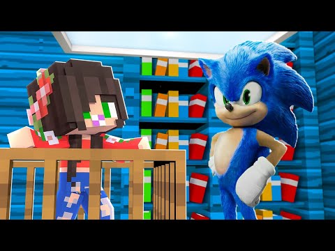 O SONIC FICOU BRAVO SENDO A MINHA BABÁ NO MINECRAFT